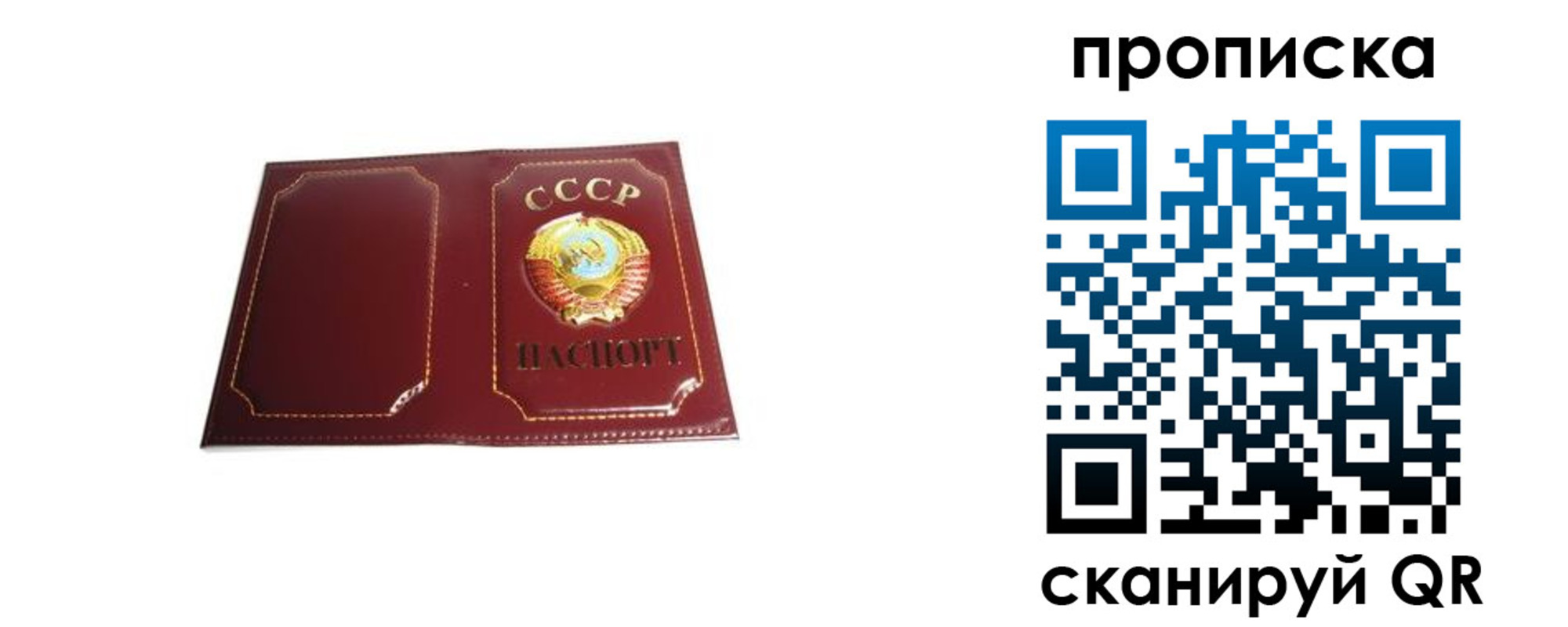 прописка гарантия в Болотном